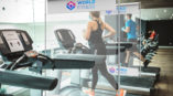 Pegasus Protective Screen for Gyms