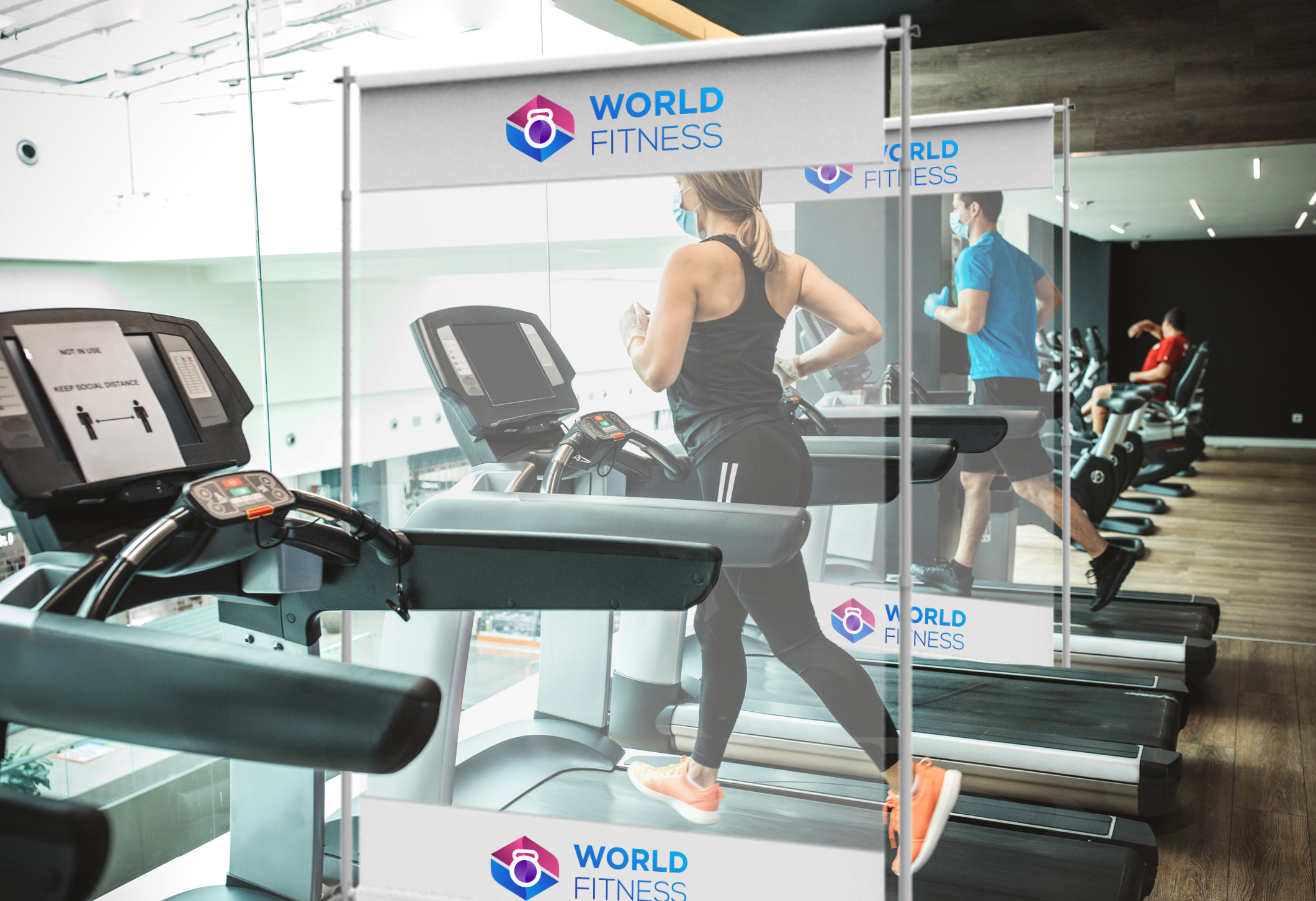 Pegasus Protective Screen for Gyms
