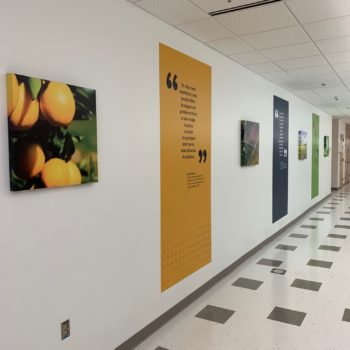 Hallway With Quotes on Walls