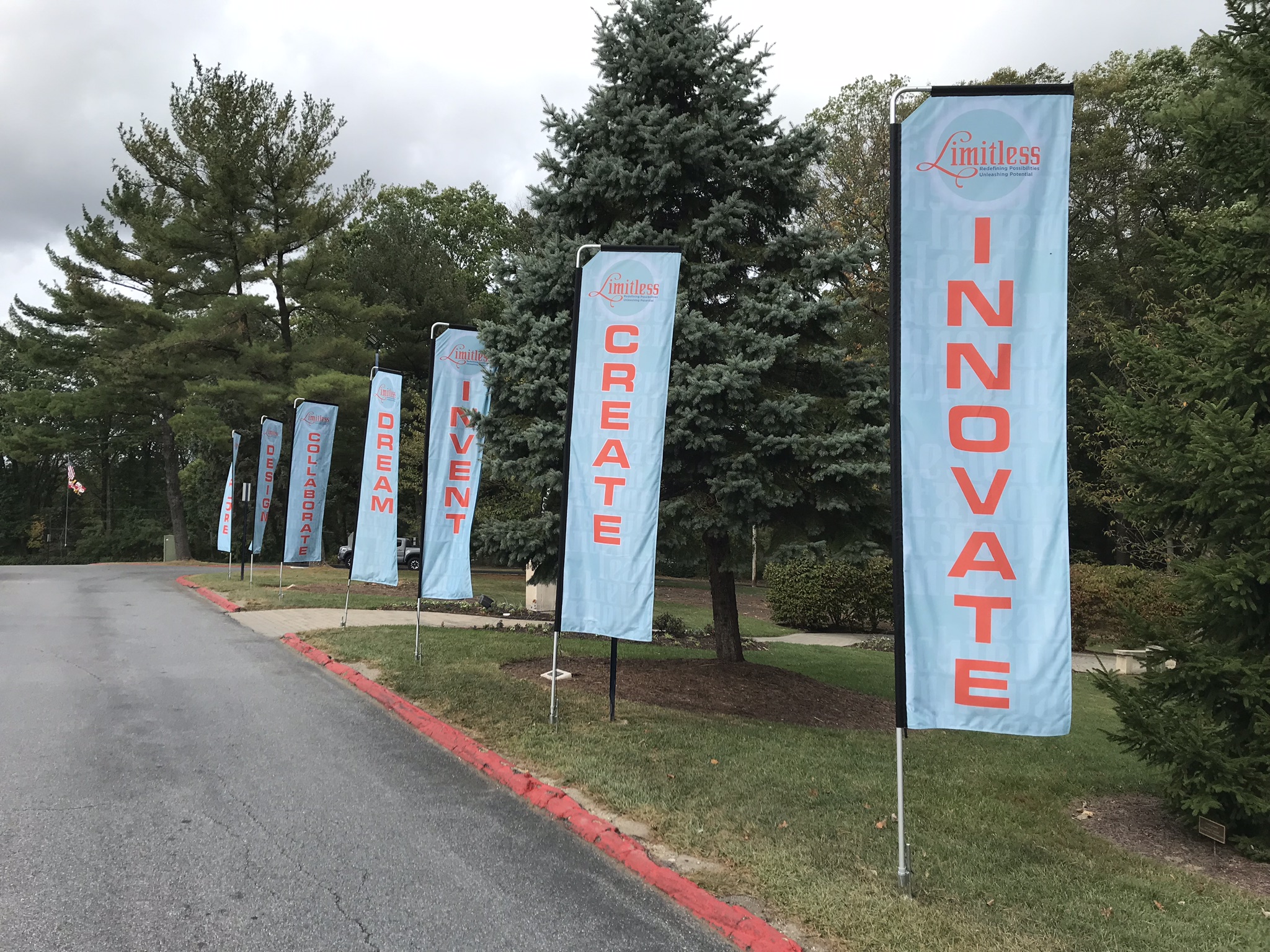 Limitless Roadside Sign Flags