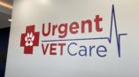 Urgent Vet Care Large Wall Decal