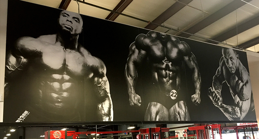 wall graphic for a gym