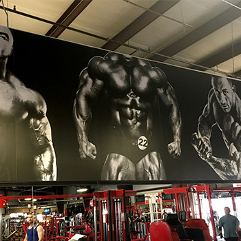 wall graphic in a gym