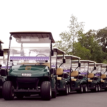 golf cart fleet wrap