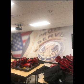 police badge and American flag wall mural