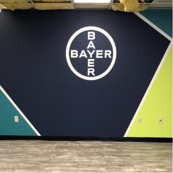 Bayer and Bayer colorblocked wall decal