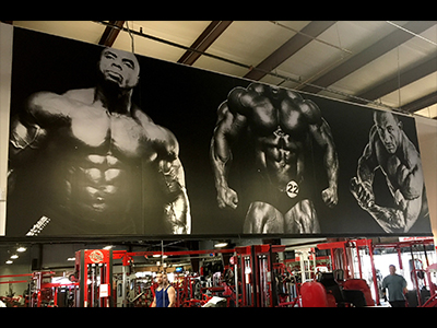 Got muscle poster in a gym