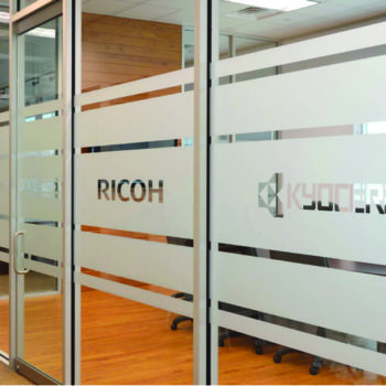Ricoh frosted glass