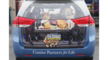 Canine Partners for Life wrap