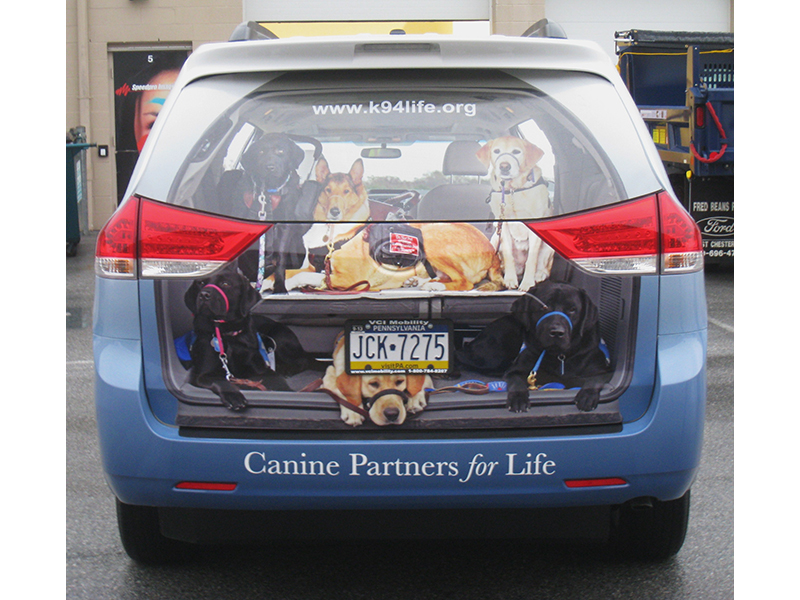 Canine Partners for Life wrap