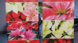 Retractable banner display featuring vibrant floral images and the title 'Shades of Crimson.'
