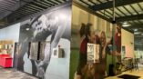 Wall mural featuring dynamic black-and-white and color images of athletes celebrating, installed in a sports facility lobby.