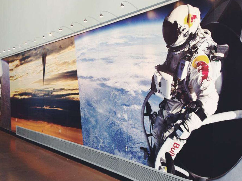 Wall Murals