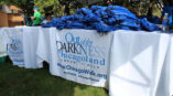 Chicagoland community walk table cover