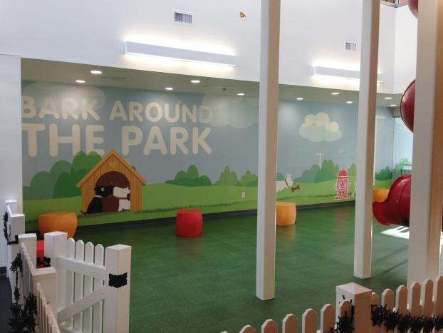 Bark Around The Park wall mural at a dog daycare