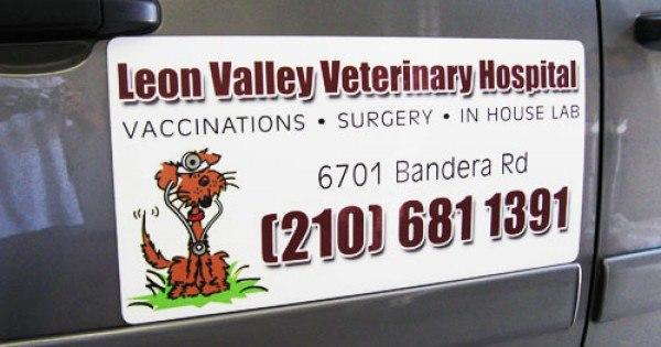 Leon Valley Veterinary Hospital logo on side of vehicle