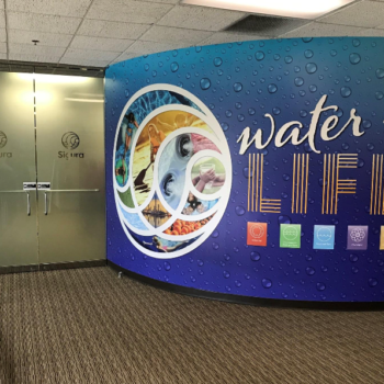 Water is Life wall mural